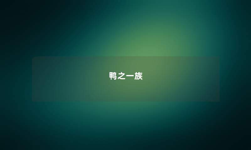 鸭之一族 鸭之一族