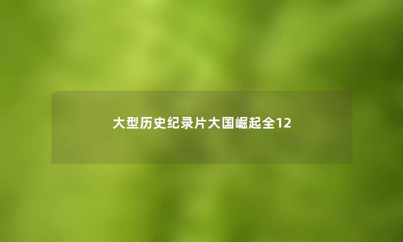 大型历史纪录片大国崛起全12 大型历史纪录片大国崛起全12