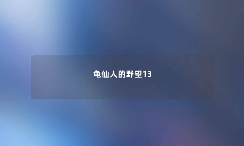 龟仙人的野望13 龟仙人的野望13