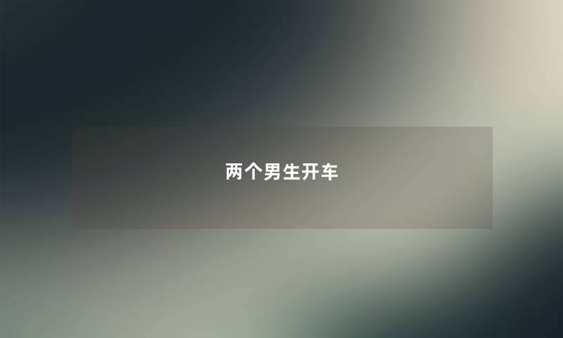 两个男生开车 两个男生开车