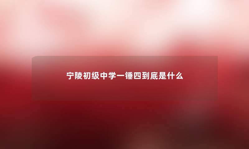 宁陵初级中学一锤四到底是什么 宁陵初级中学一锤四到底是什么