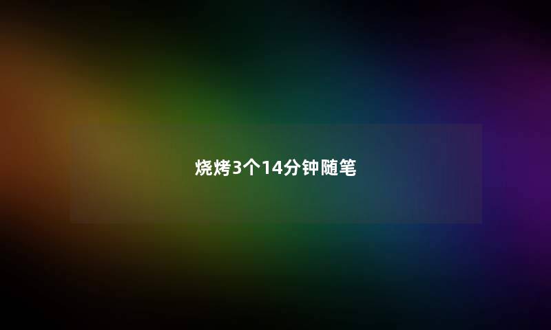 烧烤3个14分钟随笔