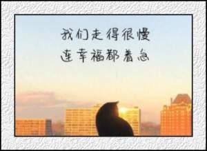 鲁泰b写给自己的话