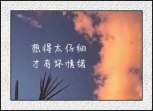 林采缇写给自己的话