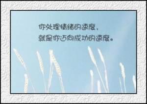 阎峰写给自己的话