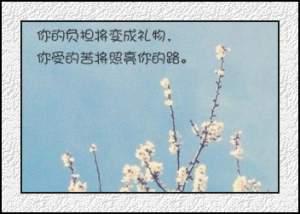 郑西写给自己的话