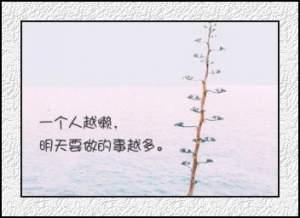 魏晓南写给自己的话