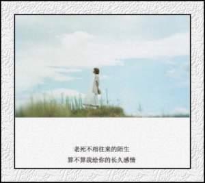 郑雯写给自己的话