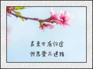 林雅惠写给自己的话