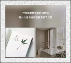 王美莼写给自己的话